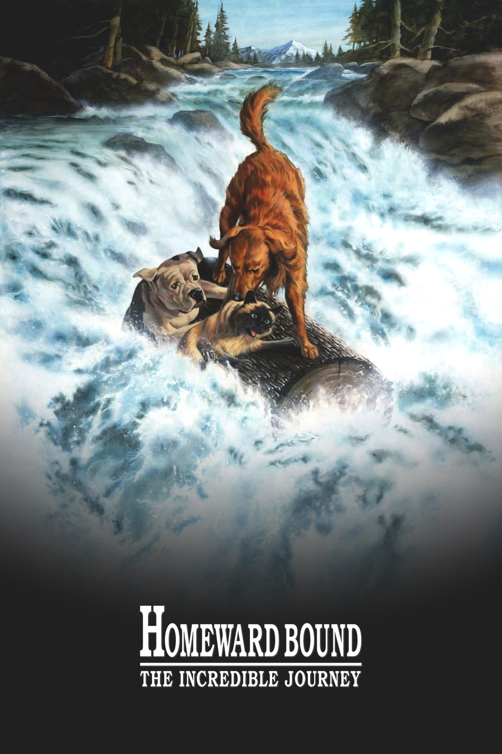 Homeward Bound The Incredible Journey (1993) [132203] (A1673275787) [[Movies]] --Plex--